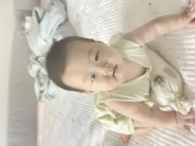 爬爬爬