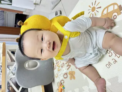 背小蜜蜂